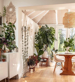 white wall room with bamboo floor and hanging plant